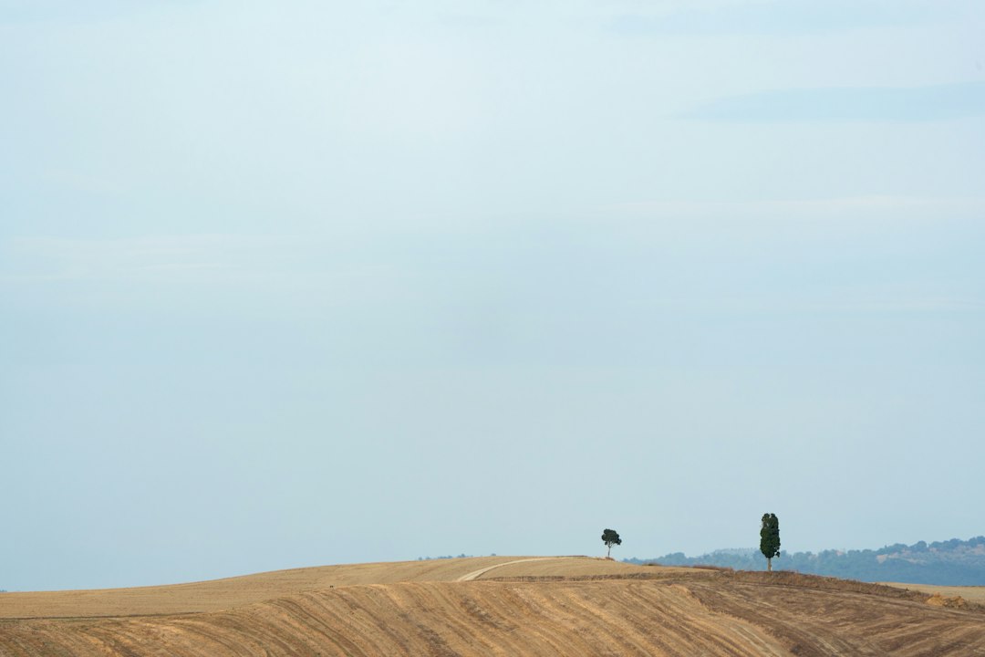 Preferenze silenziose: la sicilia fuori stagione, tra autenticità e qualità